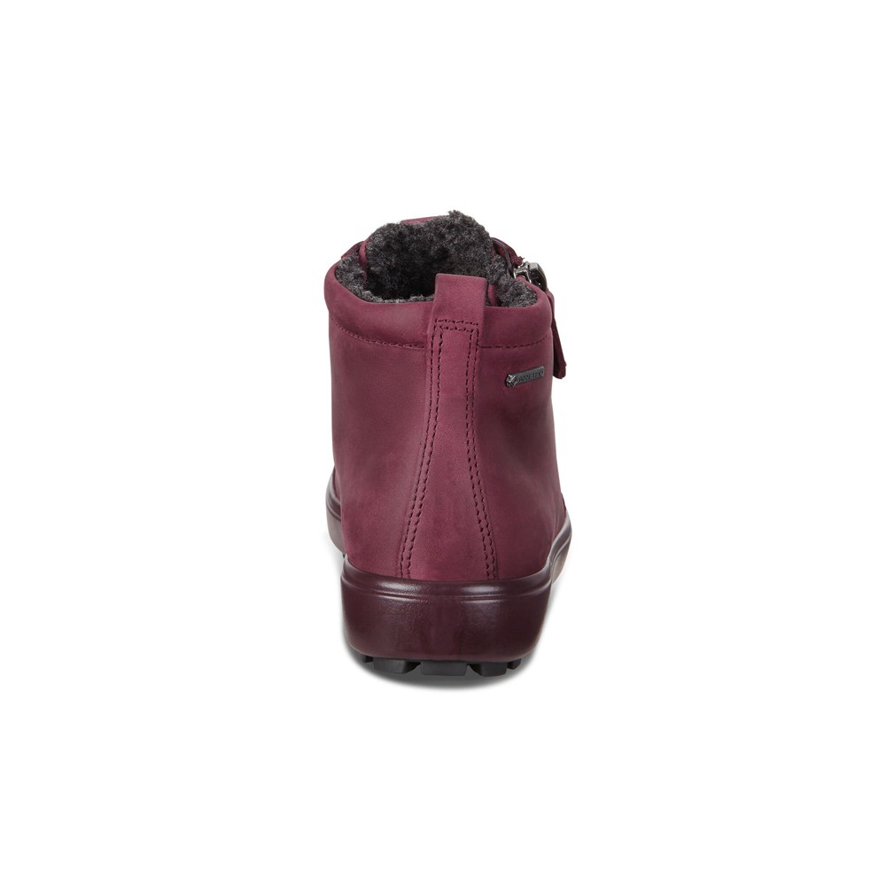 Tenis Mujer - ECCO Soft 7 Tred Gtx Hi - Vino - BEG041697